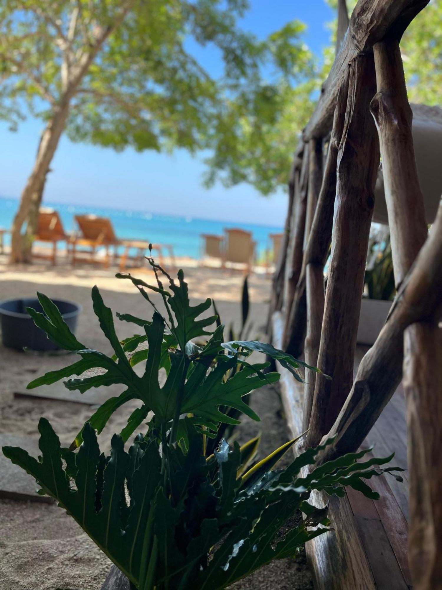 Thani Ecobeach Baru Плая-Бланка Экстерьер фото